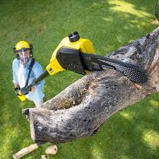 Best Commercial Tree Services  in Summerset, SD